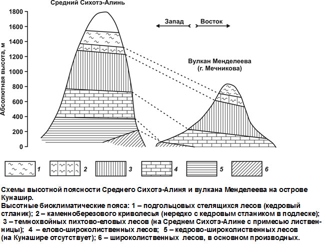 Схема высотной поясности гор дальнего востока